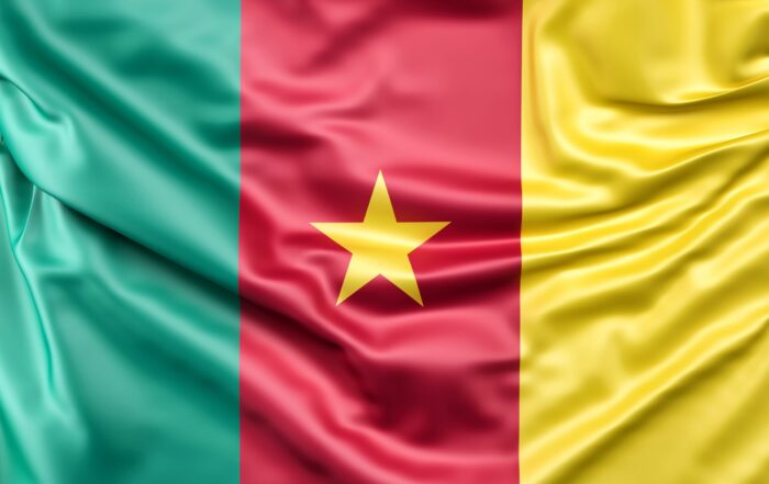 Bandera De Camerun Scaled